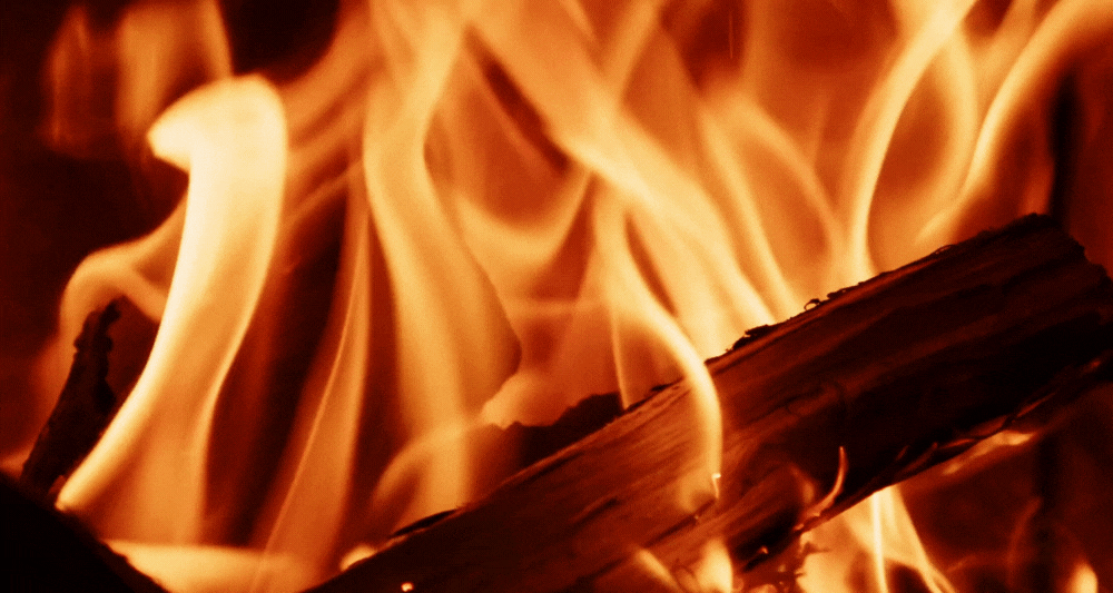 Dark Day Dark Night Giveaway