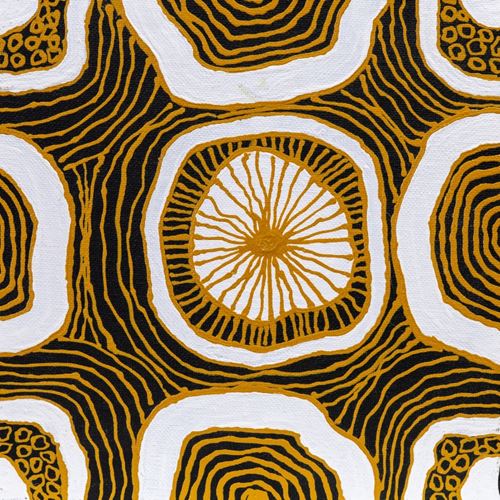 Thina Honeycomb Maria De Vries Artwork NAIDOC Week