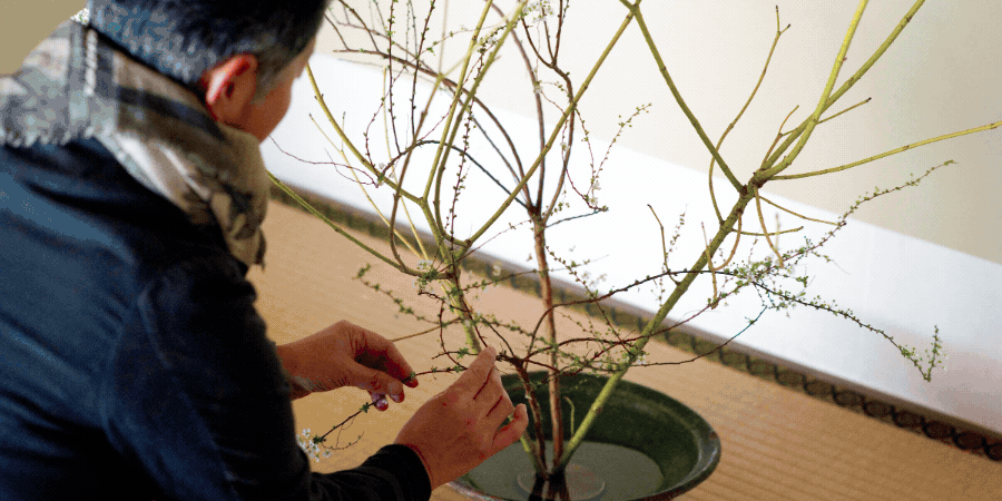 Live Well - Wellness Events at South Eveleigh