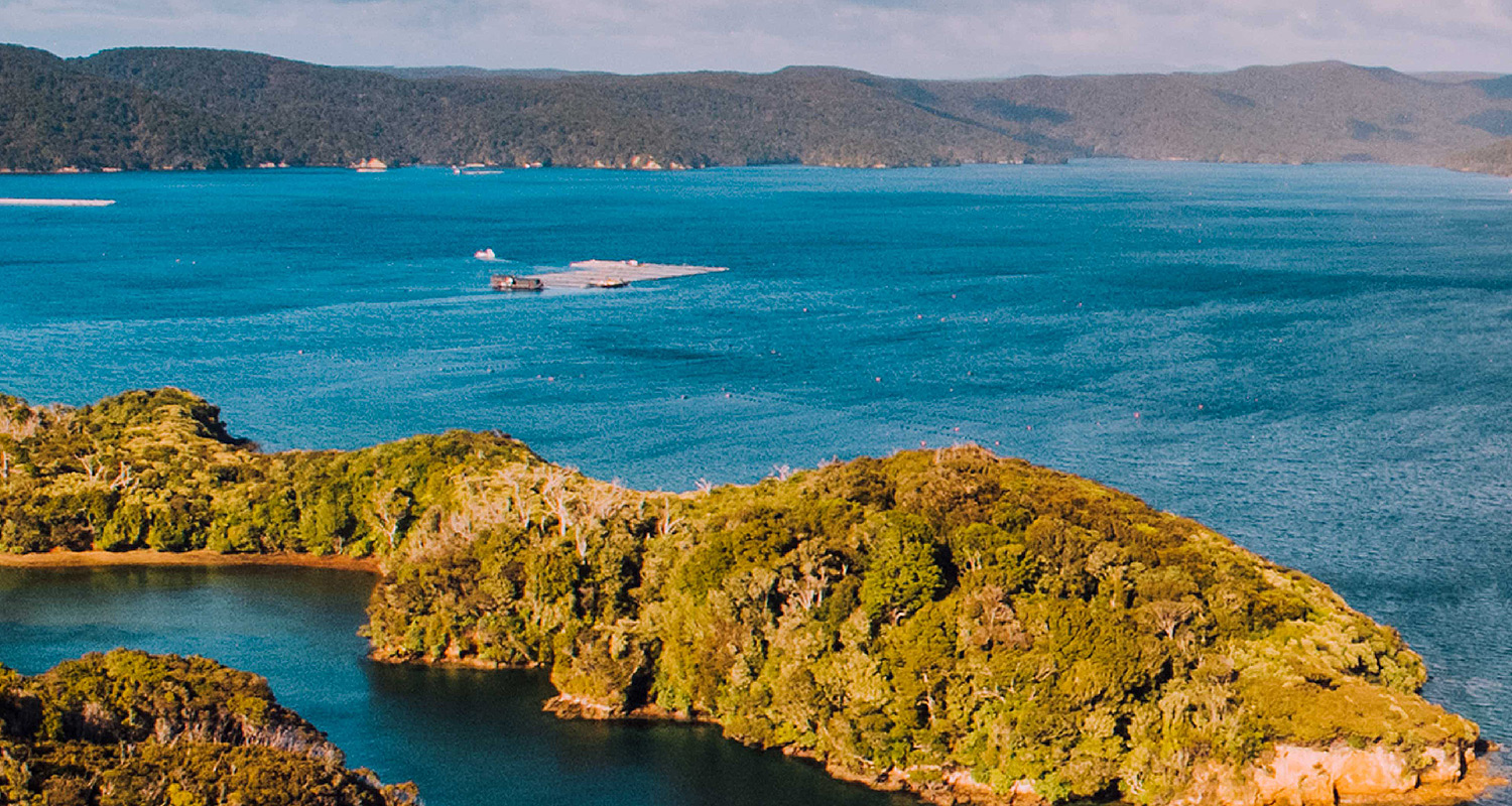 Big Glory Bay at Stewart Island, New Zealand