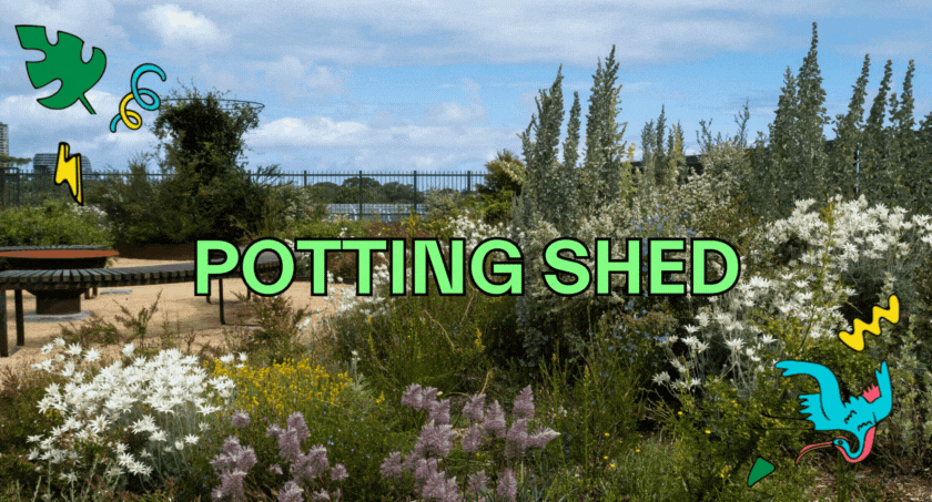 South Eveleigh Street Party Potting Shed