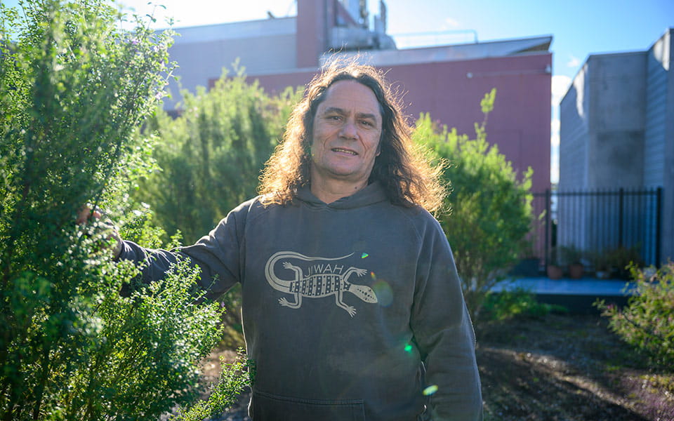 treehouse south eveleigh