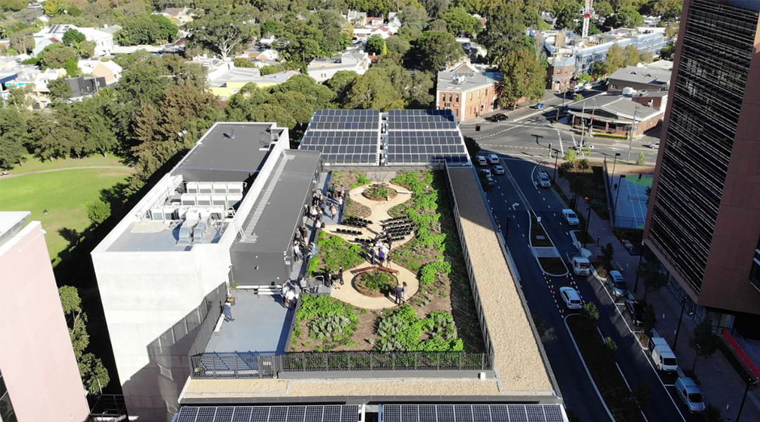 indigenous rooftop farm