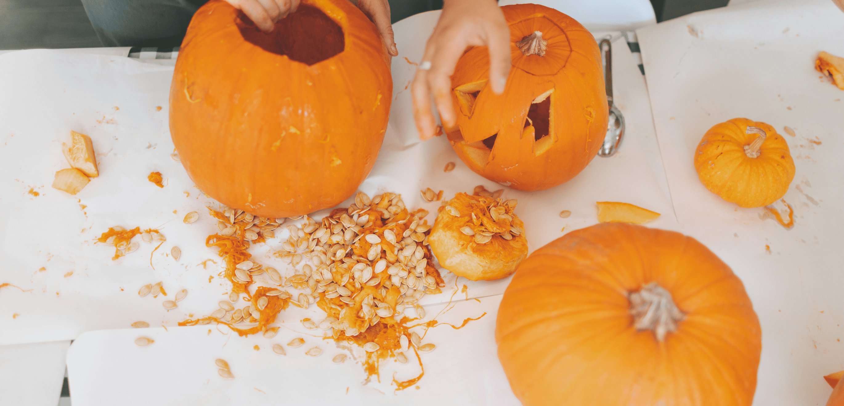 pumpkin carving south eveleigh