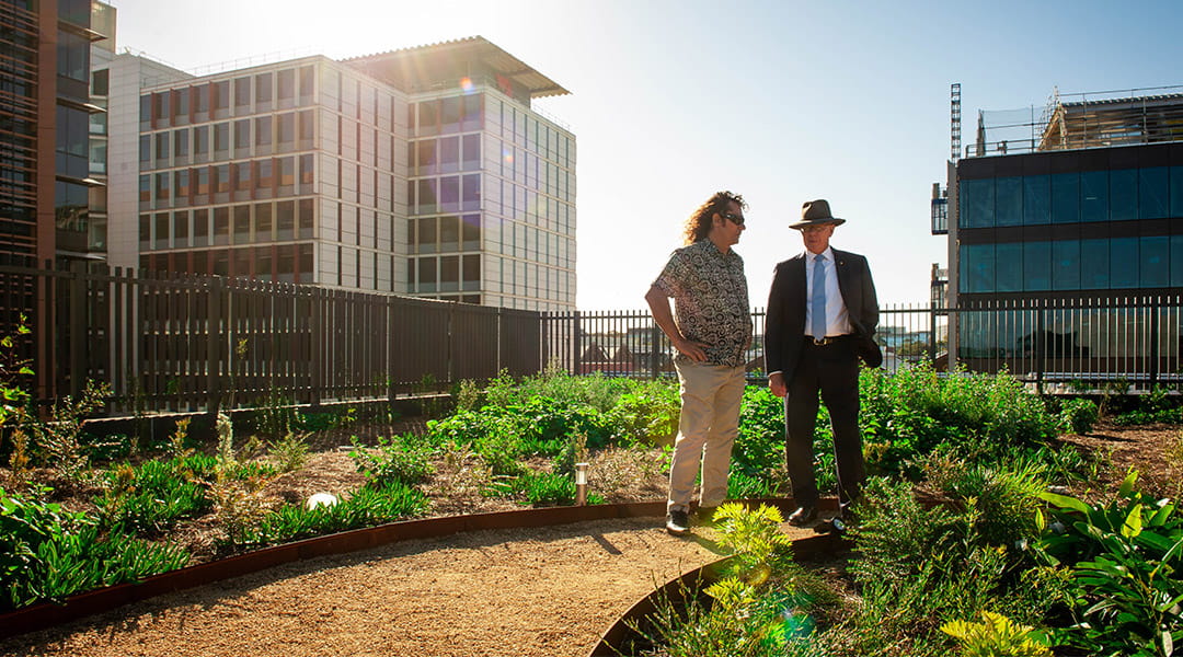 governor general rooftop farm